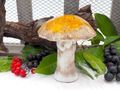 Pilz Figur Waldpilze Herbstdekoration Winter Wald Herbst Weihnachten 4