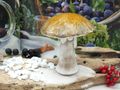 Deko Keramik Birkenpilz Waldpilz als Herbstdeko oder Weihnachtsdeko zum Hinstellen Marone 5