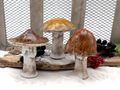 Deko Pilz Braun mit glasiertem Schirm - Tischdeko Aufsteller Herbst Winter Dekofigur zum Hinstellen 2