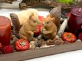 Holztablett mit Herbst Tischdeko Länglich Tablett Braun Holz mit Eichhörnchen, Kerzen und Streudeko  5