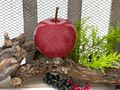 Deko Apfel in glänzendem Bordeauk - dunkel Rot aus hochwertiger Keramik mit Stil aus Holz zum hinstellen 4