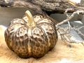 Deko-Kürbis aus Keramik in den edlen Farben Bronze mit Gold für Herbst- und Winterdekoration 3