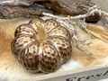 Deko-Kürbis aus Keramik Erntedankfest Halloween Herbst Geschenkidee  4