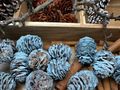 Blau gefärbte Zapfen um deinem Zuhause in der Weihnachtszeit oder bei kreativen Projekten einen farblichen Akzent zu verleihen 5