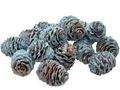 Natur Zapfen Blau gefärbt Strictum Deko Weihnachten Adventskranz Basteln Streudeko Tischdeko 16 Stück 1
