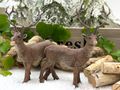 2 stehende Deko-Hirsche Figuren aus Polyresin in Braun - für Winter-, Herbst- oder Weihnachtsdekoration 4