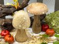 2er-Set Deko Pilze aus Mangoholz mit weißen Punkten, 15cm H, handgefertigt und bemalt– jedes Stück ein Unikat 2