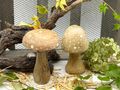 Handgefertigte Deko Pilze aus Mangoholz für Kränze, Gestecke, Türdekorationen oder Tablett-Arrangement 3