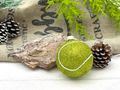 Christbaumschmuck Tennisball Glas - Geschenkidee für Sportfreunde, Trainer, Kollegen oder Mannschaft 3