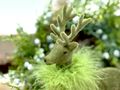 Eleganter Deko-Hirsch in Grün – ein stilvolles Highlight für deine Winter- und Weihnachtsdekoration  2