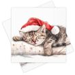 Servietten Katze Schlafend Braun mit Weihnachtsmütze Rot Weihnachten Deko 33 x 33 cm 20er Pack 1