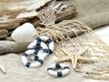 Deko Rettungsring mit Klebepunkten in Blau Weiß - Miniatur maritime Ornamente Streudeko & für DIY - Ø 7,6cm 4 Stück 2