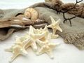 Natürliche Seesterne geblichen für maritime Hochzeitsdekoration Heimdekoration und Bastelprojekte 3