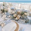 Stranddeko Schnecken Muscheln Natur Deko Maritime Hochzeit Strandhochzeit Sommer Geburtstag  3