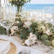 10 echte Schnecken für Sommer Dekorationen, DIY-Projekte und maritime Wohnkonzepte 4