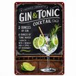 Metallschild Gin Tonic Cocktail Rezept Küche Deko Party Beach Club Bar Hochzeitsbar Sommer 20x30 cm 1