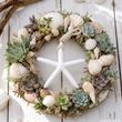 Seestern Weiß mit Aufhänger - Tischdeko Strandhochzeit, Sommer Geburtstag 5