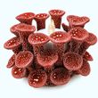 Maritime Deko Korallen Teelichthalter mit LED Teelicht - Rot Tischdeko Unterwasserwelt Party 8,5cm H 1