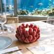 Rote Korallen Teelichthalter mit LED - Maritime Deko Figur für Restaurant, Hotel, Badezimmer oder als Tischdeko 4