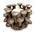 Maritime Deko Korallen Teelichthalter mit LED Teelicht - Bronze Tischdeko Unterwasserwelt Party 8,5cm H 1