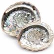 2 Muscheln Abalone Natur Tischdeko Maritim Sommer Deko Basteln ca. 13,5 - 16cm  1