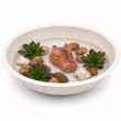 Kleiner Teich – Mini Gartenteich in Zink Schale mit schwimmenden Nilpferd Vogeltränke Deko Garten SET 1