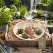 Komplettes SET mit Zink Schale, schwimmenden Nilpferd, Pflanzenköpfe, Kieselsteine - Geschenk Garten Teich Mann Frau 4
