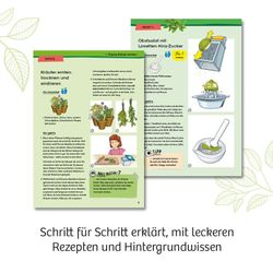 Kosmos Kräuter Garten