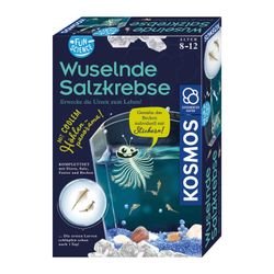 Kosmos Wuselnde Salzkrebse