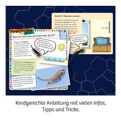 Kosmos Wuselnde Salzkrebse