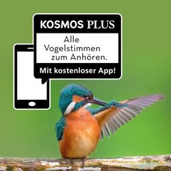 Kosmos Taschenbuch Was fliegt denn da?