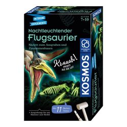 Kosmos Nachtleuchtende Flugsaurier