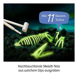 Kosmos Nachtleuchtende Flugsaurier