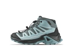 Salomon X Ultra Mid GTX