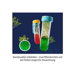 Kosmos Fun Science Aqua-Gel Pflanzen