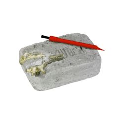 Coppenrath Ausgrabungsset T-Rex