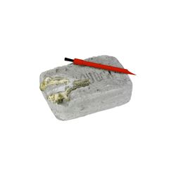 Coppenrath Ausgrabungsset