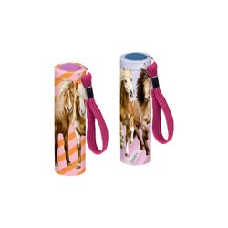 Coppenrath Kleine Taschenlampe