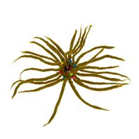 KUNST UND MAGIE Filz Haargummi Dreads Haarschmuck Rasta scrounchi Xl Beige