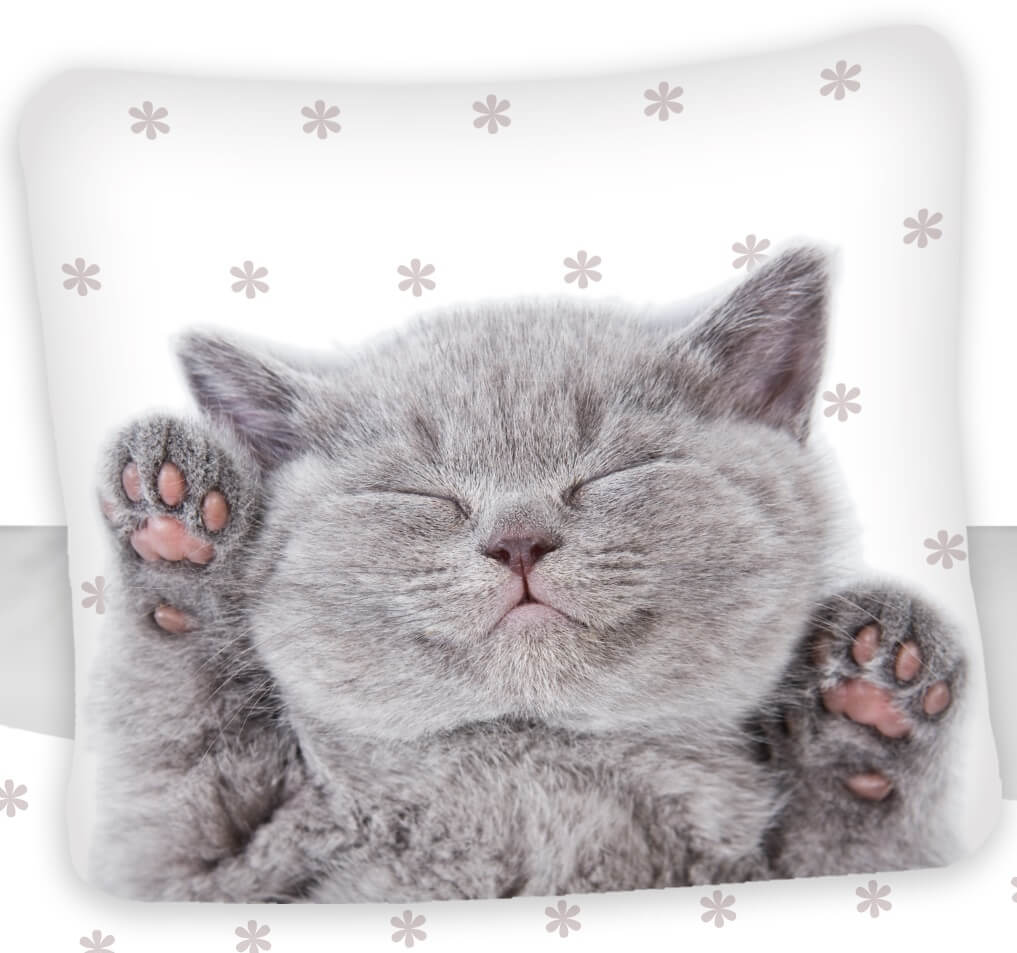 Kätzchen Wende-Bettwäsche-Set 135x200 80x80 Bettzeug Katze Kater Kitten Welpe Kätzchen Wende-Bettwäsche-Set 135x200 80x80 Bettzeug Katze Kater Kitten Welpe