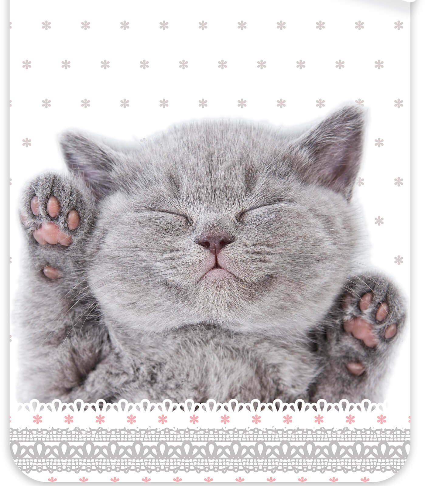 Kätzchen Wende-Bettwäsche-Set 135x200 80x80 Bettzeug Katze Kater Kitten Welpe Kätzchen Wende-Bettwäsche-Set 135x200 80x80 Bettzeug Katze Kater Kitten Welpe