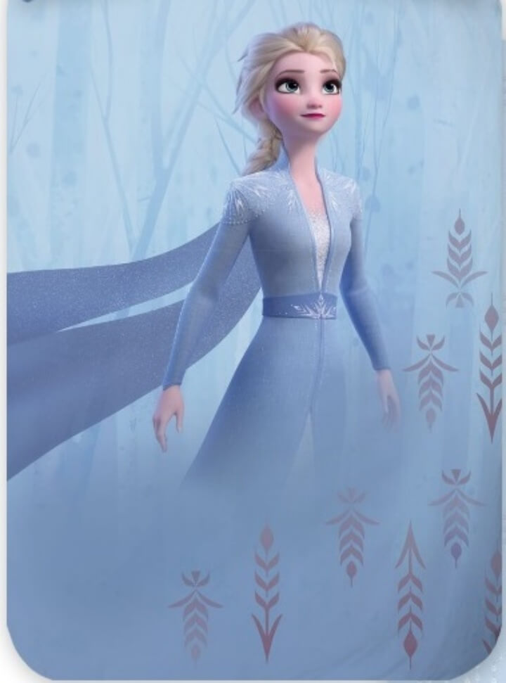 Disney Frozen Die Eiskönigin Wende-Bettwäsche 135x200 80x80 Baumwolle Elsa Anna Disney Frozen Die Eiskönigin Wende-Bettwäsche 135x200 80x80 Baumwolle Elsa Anna