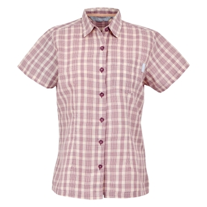 -4AM lilas check