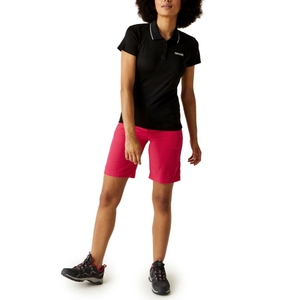 Regatta Damen Kurzarmshirt Shirt Poloshirt - Bild 3
