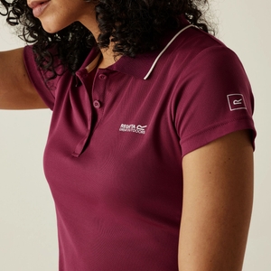 Regatta Damen Kurzarmshirt Shirt Poloshirt - Bild 6