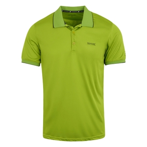 -8KA grenobl green solid