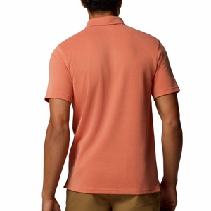 Columbia Herren Poloshirt T-Shirt Kurzarmshirt Nelson Point™ - Bild 4