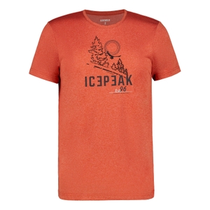 Icepeak Herren Shirt Funktionsshirt Kurzarmshirt Wandershirt T-Shirt Bearden