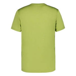 Icepeak Herren Shirt Funktionsshirt Kurzarmshirt Wandershirt T-Shirt Bearden - Bild 2