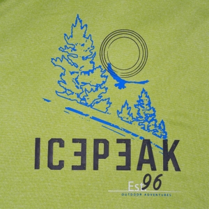 Icepeak Herren Shirt Funktionsshirt Kurzarmshirt Wandershirt T-Shirt Bearden - Bild 5